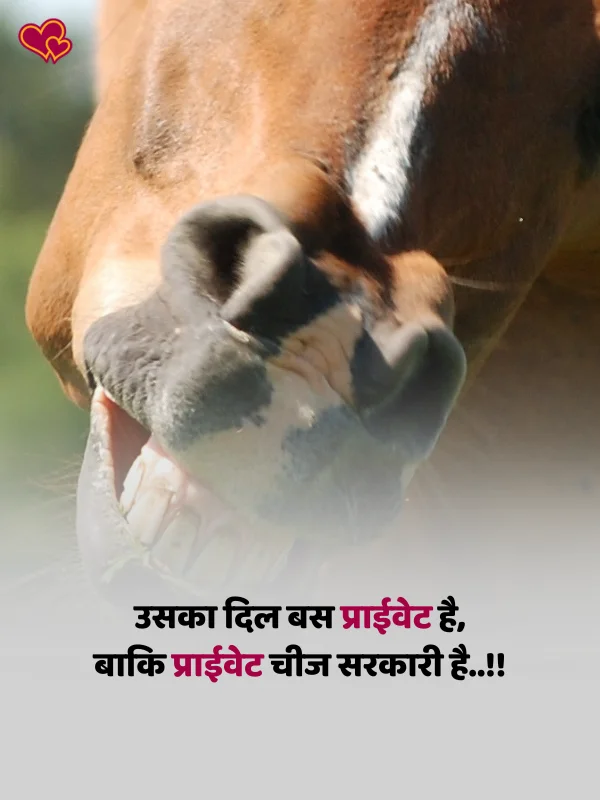 funny shayari in hindi