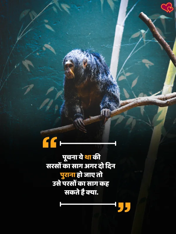 funny shayari in hindi