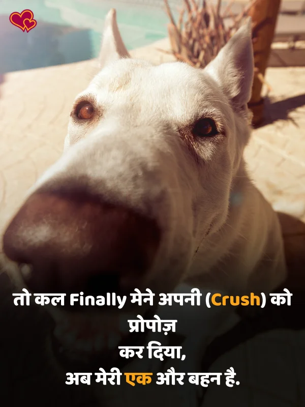 funny shayari in hindi