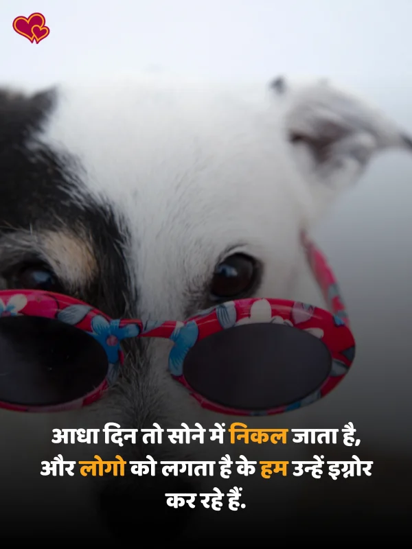 2 line funny shayari