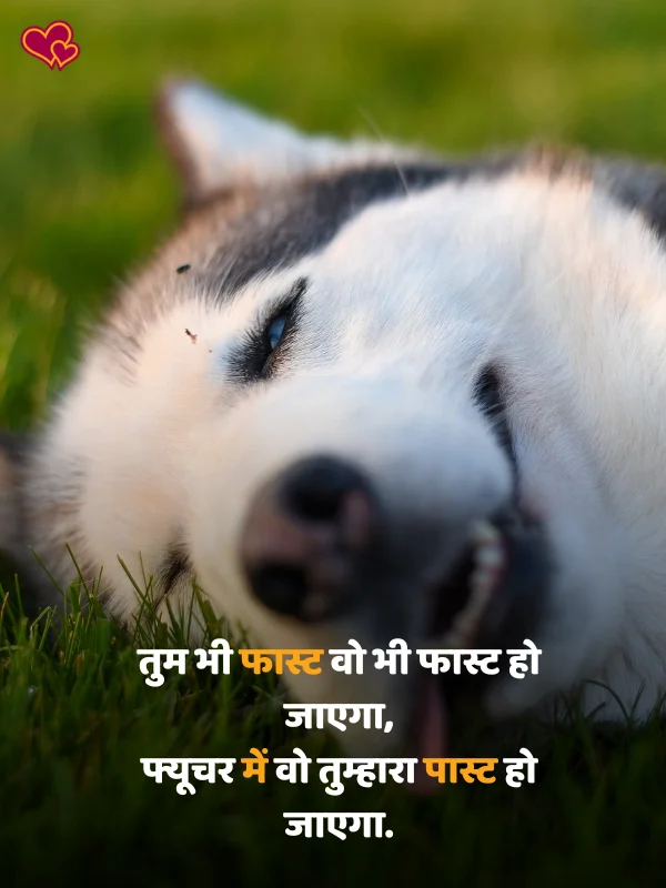 2 line funny shayari