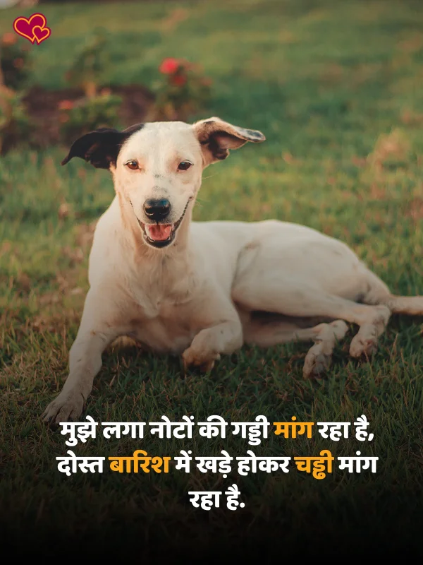 2 line funny shayari