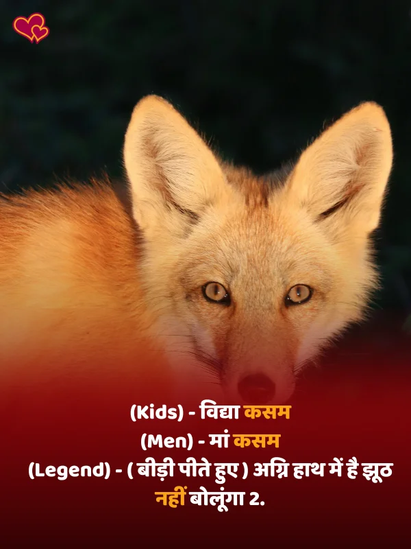 funny shayari for lover