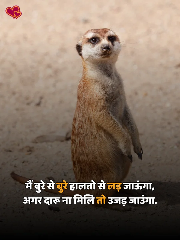 funny shayari for lover