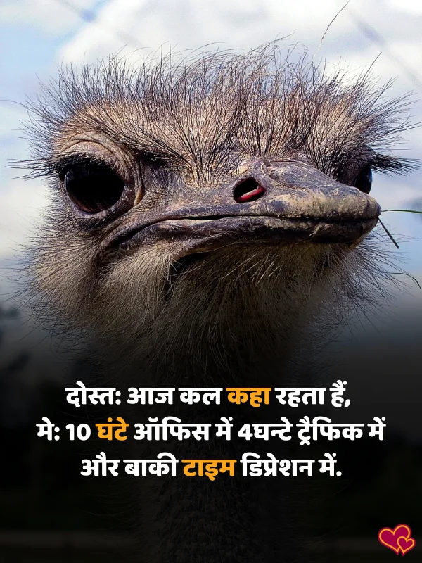 funny shayari in hindi