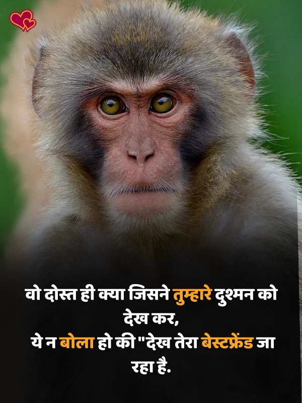 funny shayari in hindi