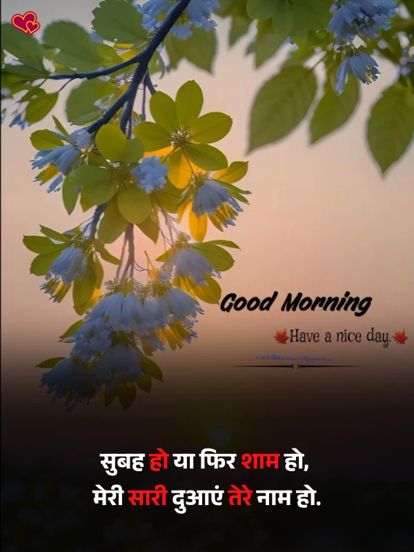 good morning shayari