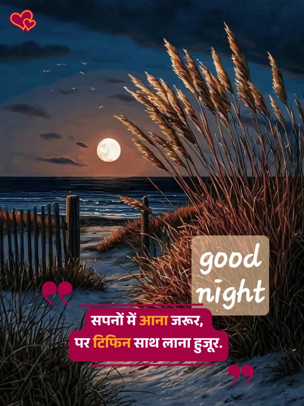 good night shayari in hindi