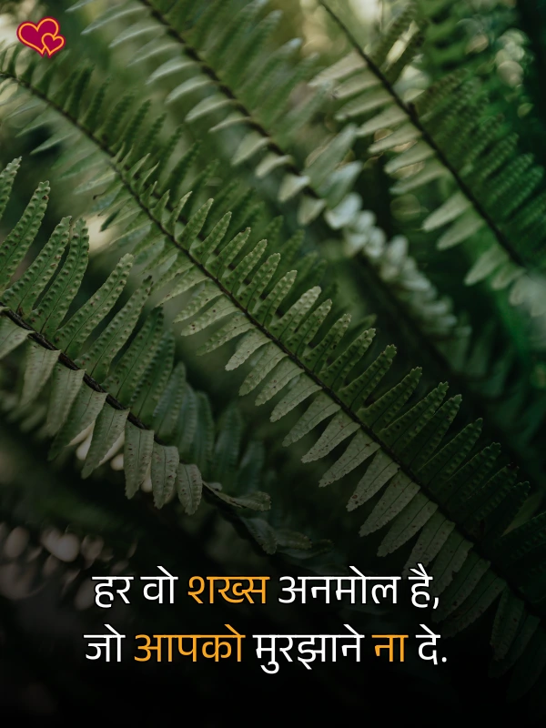 sorry shayari in hindi - shayari power